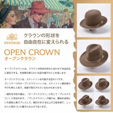 画像12: CUSTOM V OPENCROWN（カスタム V オープンクラウン）SE620 ブラウン (12)