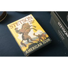 画像2: 図録「ステットソン:アメリカン・アイコン」 (2)