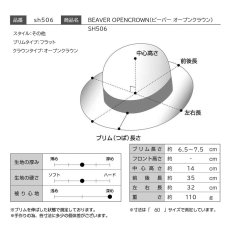 画像10: BEAVER OPENCROWN（ビーバー オープンクラウン）SH506 チャコールグレー (10)