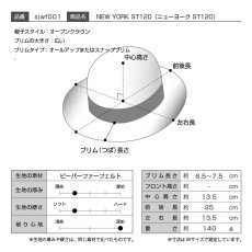 画像10: NEW YORK（ニューヨーク）ST120 ブラック (10)