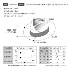 画像9: VINTAGE WHIPPET MIX（ビンテージウィペット ミックス）ST165 ベージュ (9)