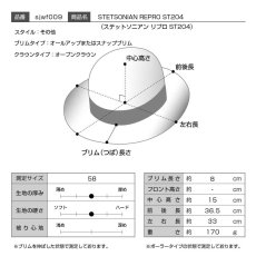 画像6: STETSONIAN REPRO（ステットソニアン リプロ）ST204 ベージュ (6)