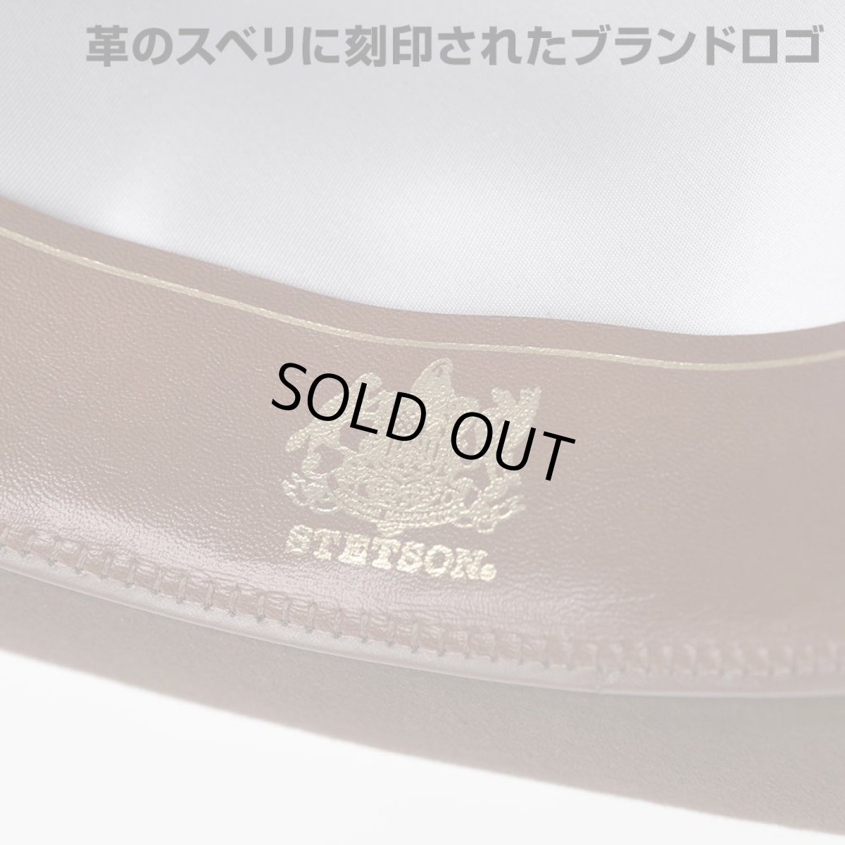 画像8: WHIPPET REPRO（ウィペット リプロ）ST203 ブラウン (8)