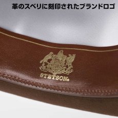 画像8: WHIPPET REPRO（ウィペット リプロ）ST203 ブラウン (8)