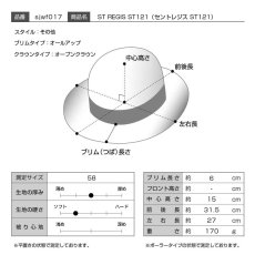 画像6: ST REGIS（セントレジス）ST121 チャコールグレー (6)