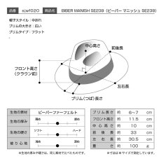 画像3: BEAVER MANISH（ビーバー マニッシュ）SE239 ランプブラック (3)