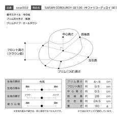 画像10: SAFARI CORDUROY（サファリコーデュロイ）SE126 グレー (10)