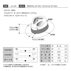 画像10: BRISTOL（ブリストル）ST100 ベージュ (10)