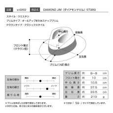 画像8: DIAMOND JIM（ダイアモンドジム）ST989 ブラック (8)