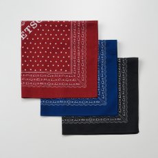 画像1: STETSON BANDANNA（ステットソンバンダナ）SE259 (1)