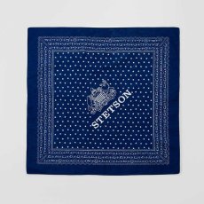 画像3: STETSON BANDANNA（ステットソンバンダナ）SE259 (3)