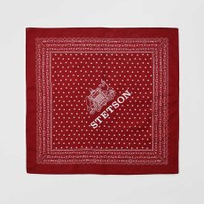 画像4: STETSON BANDANNA（ステットソンバンダナ）SE259 (4)