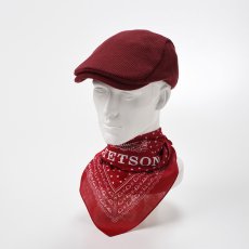 画像6: STETSON BANDANNA（ステットソンバンダナ）SE259 (6)