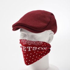 画像7: STETSON BANDANNA（ステットソンバンダナ）SE259 (7)