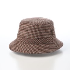 画像1: TWEED SAFARI（ツイードサファリ）SE474 ブラウン (1)