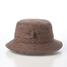 画像3: TWEED SAFARI（ツイードサファリ）SE474 ブラウン (3)