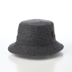 画像1: TWEED SAFARI（ツイードサファリ）SE474 チャコール (1)