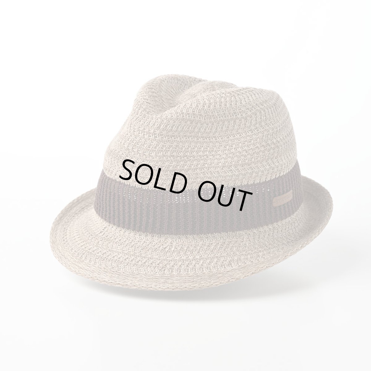 画像1: WASHABLE THERMO KNIT HAT（ウォッシャブル サーモニット ハット）SE643 ベージュ (1)