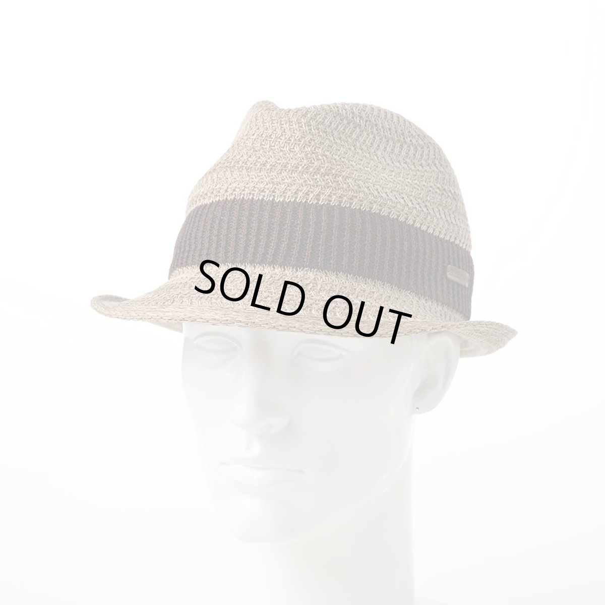 画像6: WASHABLE THERMO KNIT HAT（ウォッシャブル サーモニット ハット）SE643 ベージュ (6)