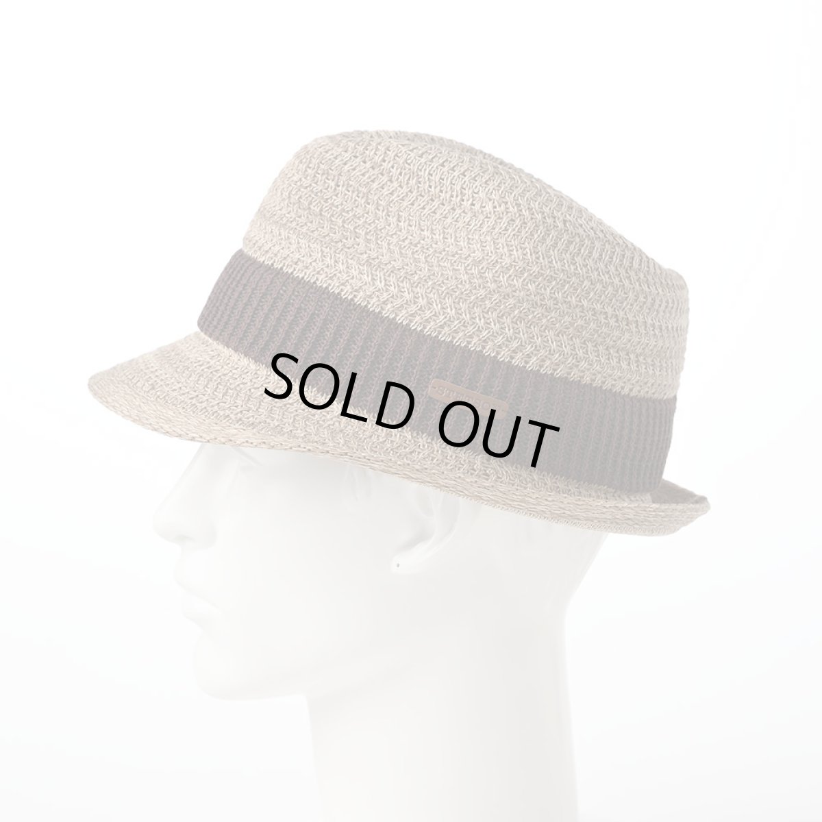 画像7: WASHABLE THERMO KNIT HAT（ウォッシャブル サーモニット ハット）SE643 ベージュ (7)