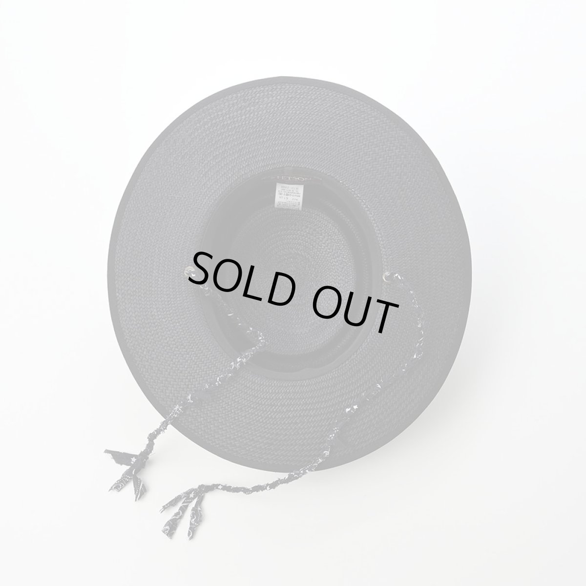 画像5: Costa（コスタ）SE731 ブラック (5)