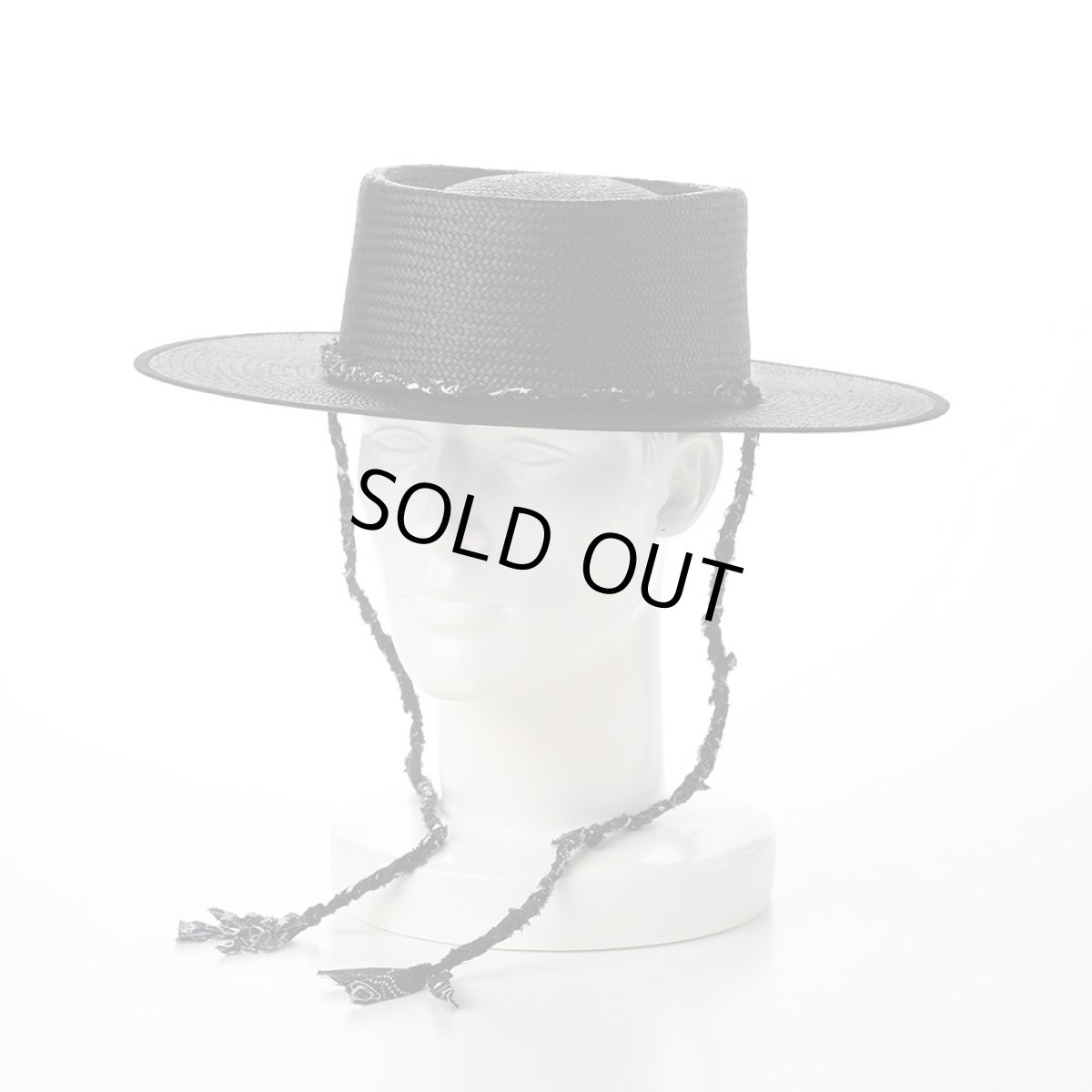 画像6: Costa（コスタ）SE731 ブラック (6)