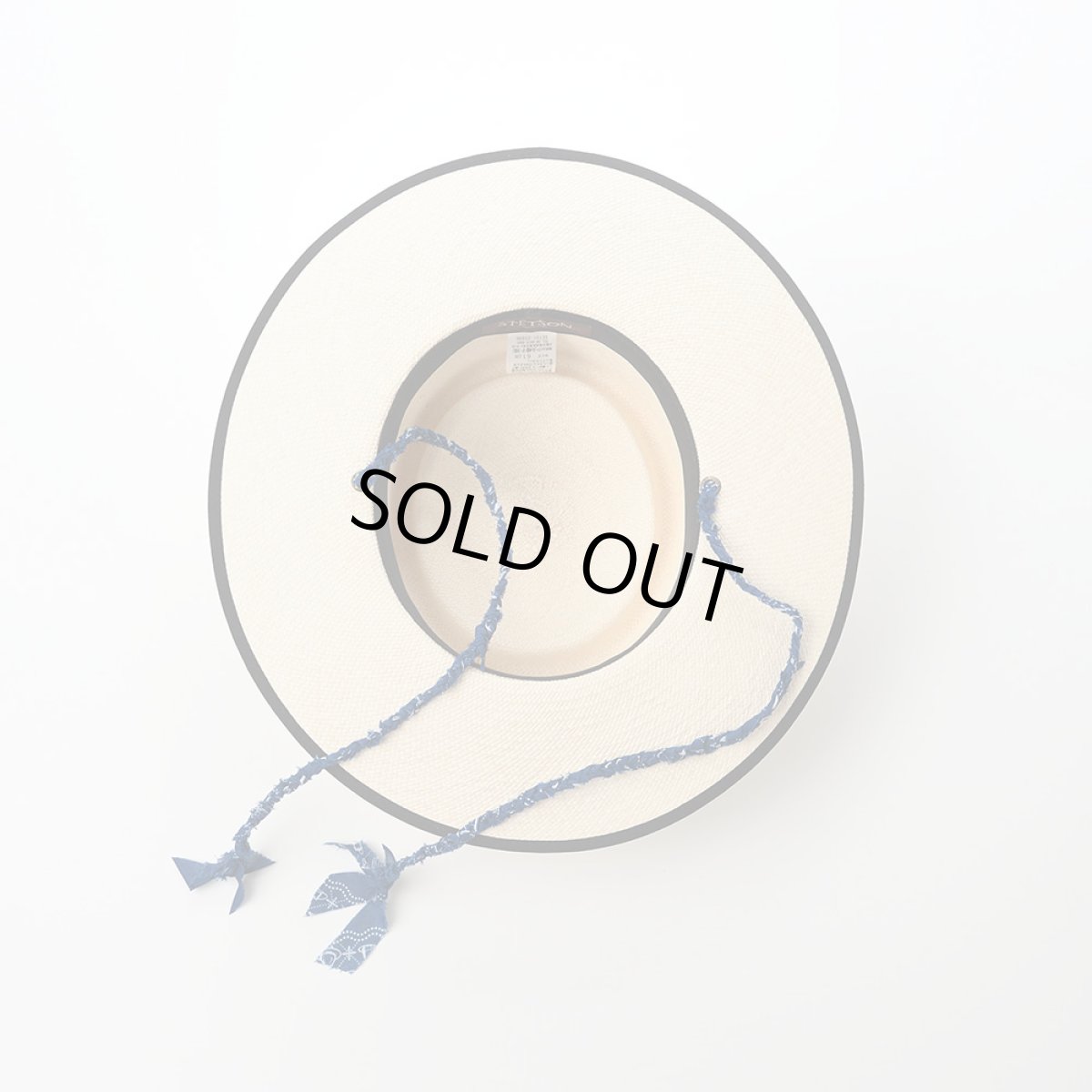 画像5: Costa（コスタ）SE731 ナチュラル (5)