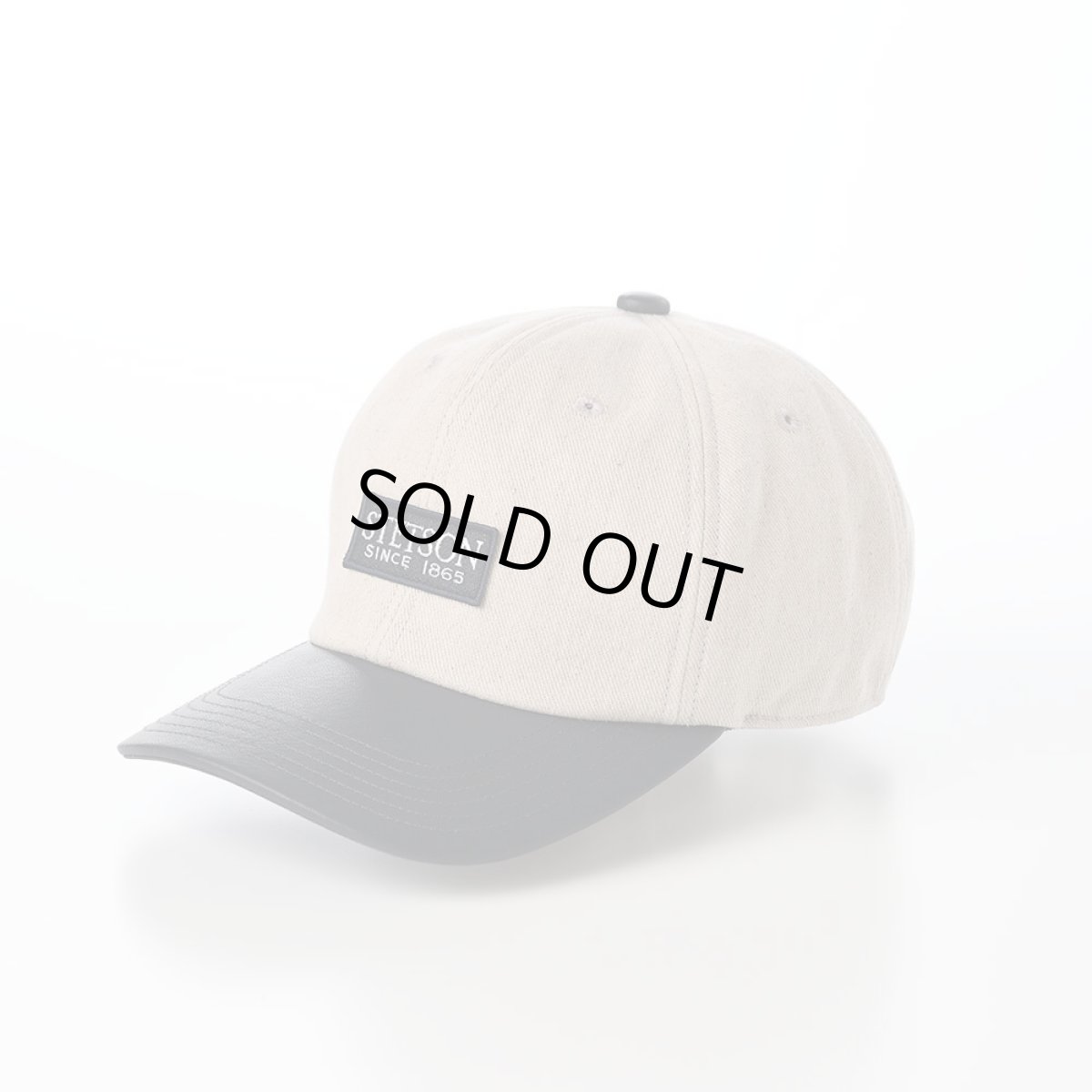 画像1: COMBINATION CAP（コンビネーション キャップ） SE765 ベージュ (1)