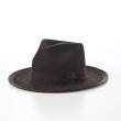 STETSON WHIPPET MEDALIST JP ハット 美品 アメリカ STETSON(ステットソン) ファーフエルト中折れ帽