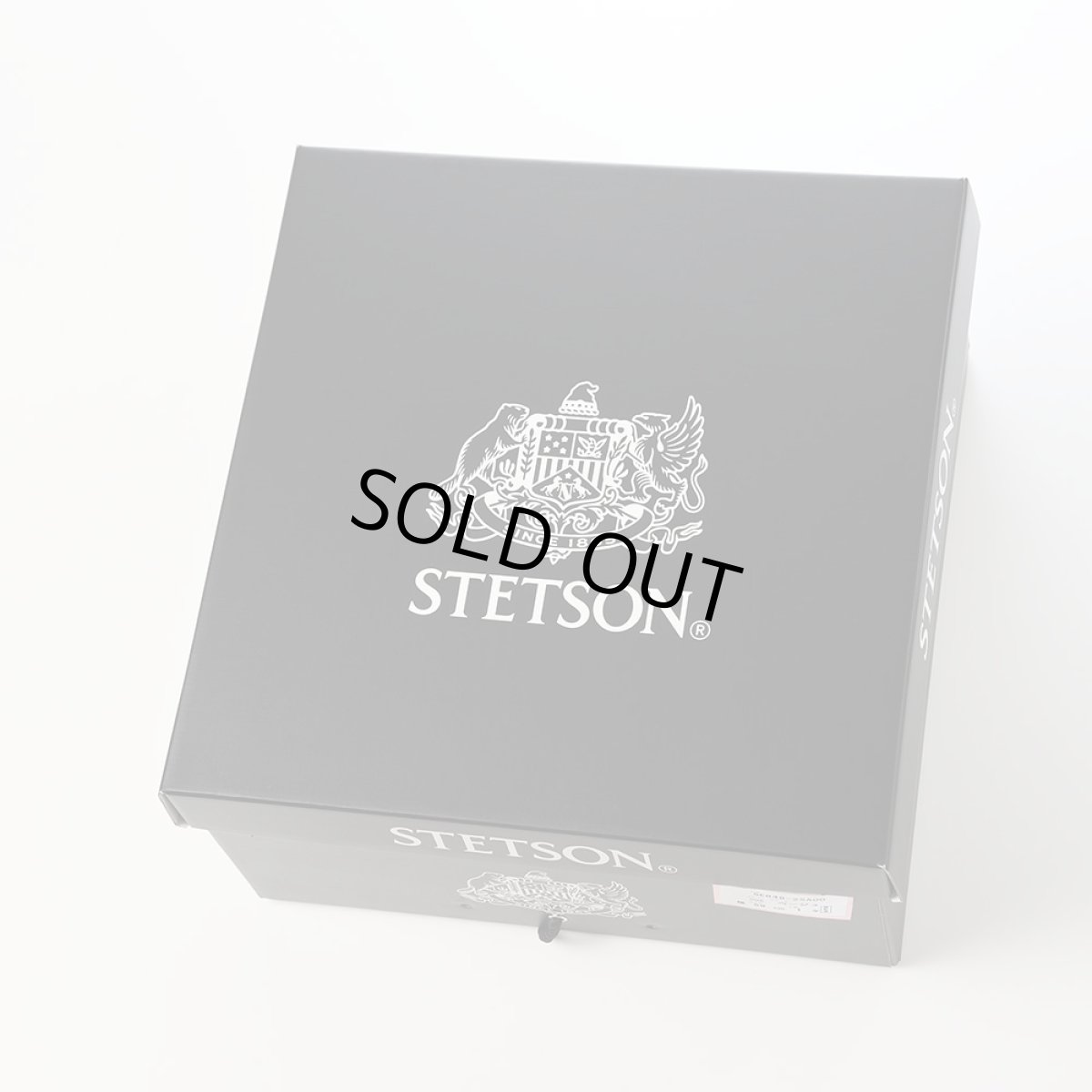 画像10: WHIPPET OPENCROWN（ウィペット オープンクラウン） SE848 ベージュ (10)