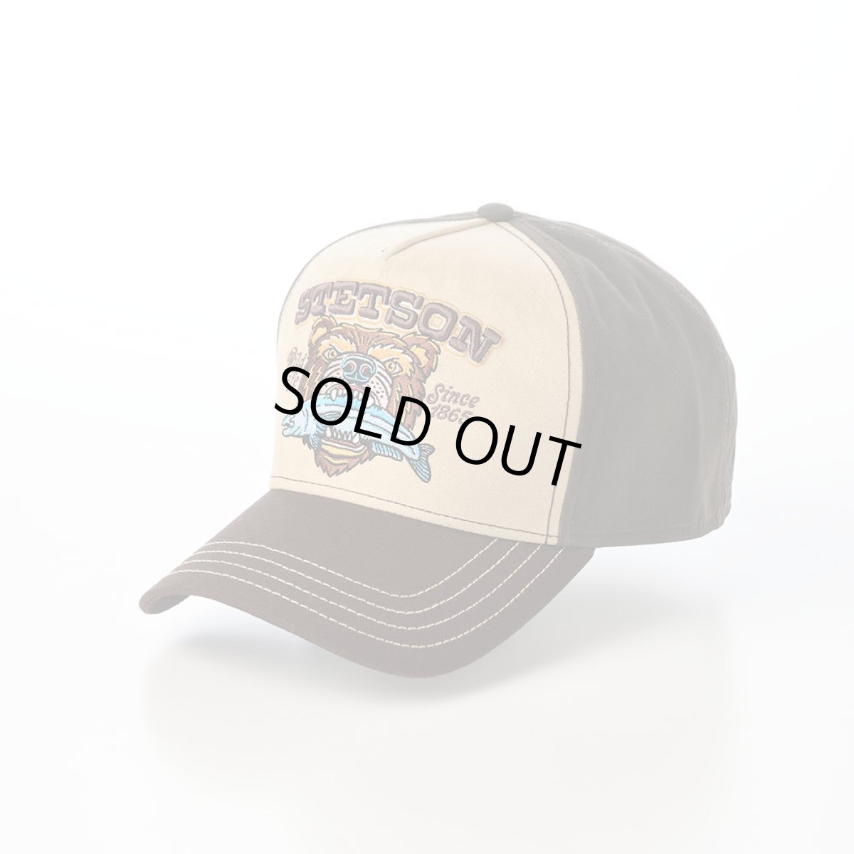 画像1: TRUCKER CAP WILD LIFE（トラッカーキャップ ワイルドライフ） ST254EU ブラウン (1)