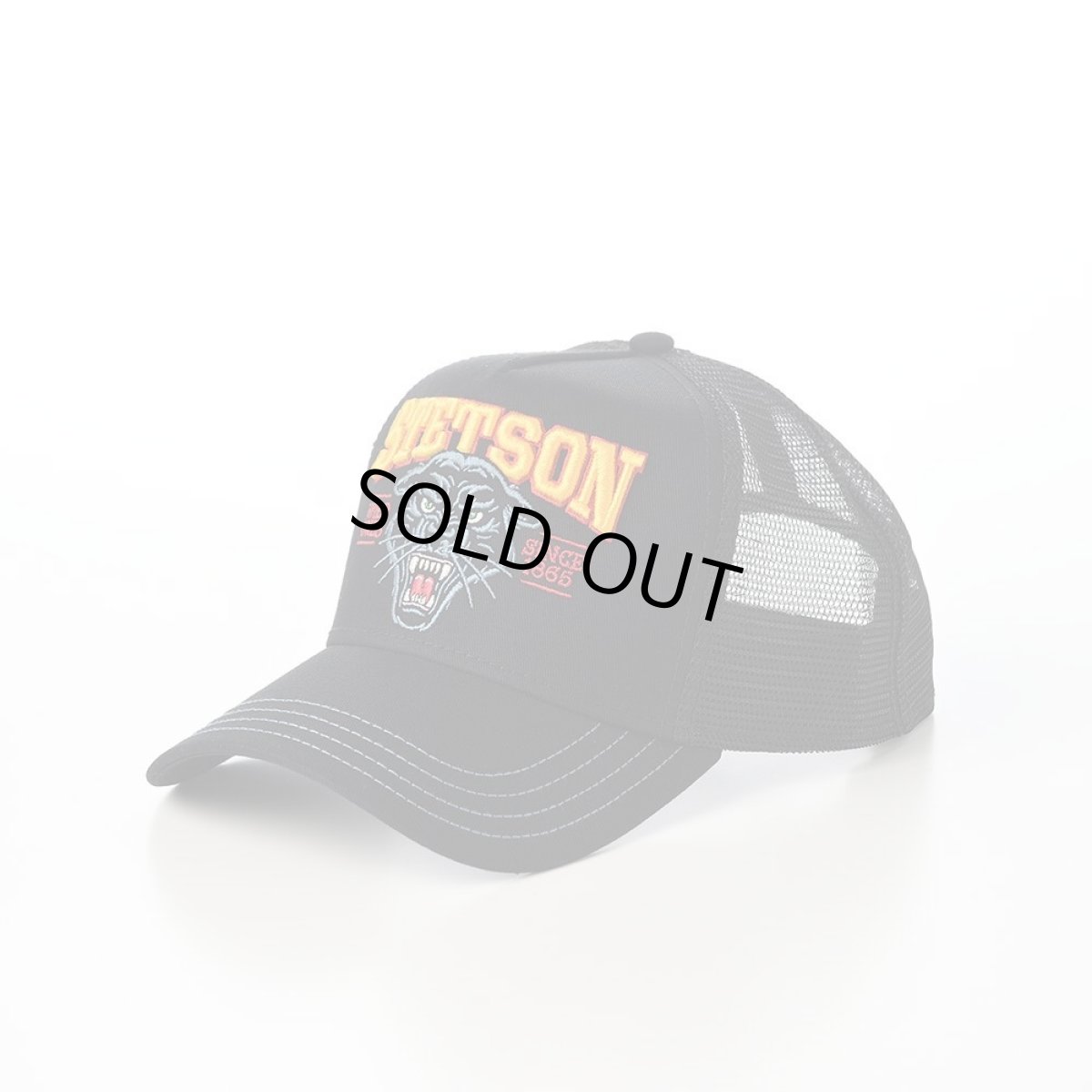 画像1: TRUCKER CAP WILD ONES（トラッカーキャップ ワイルドワンズ） ST259EU ブラック (1)