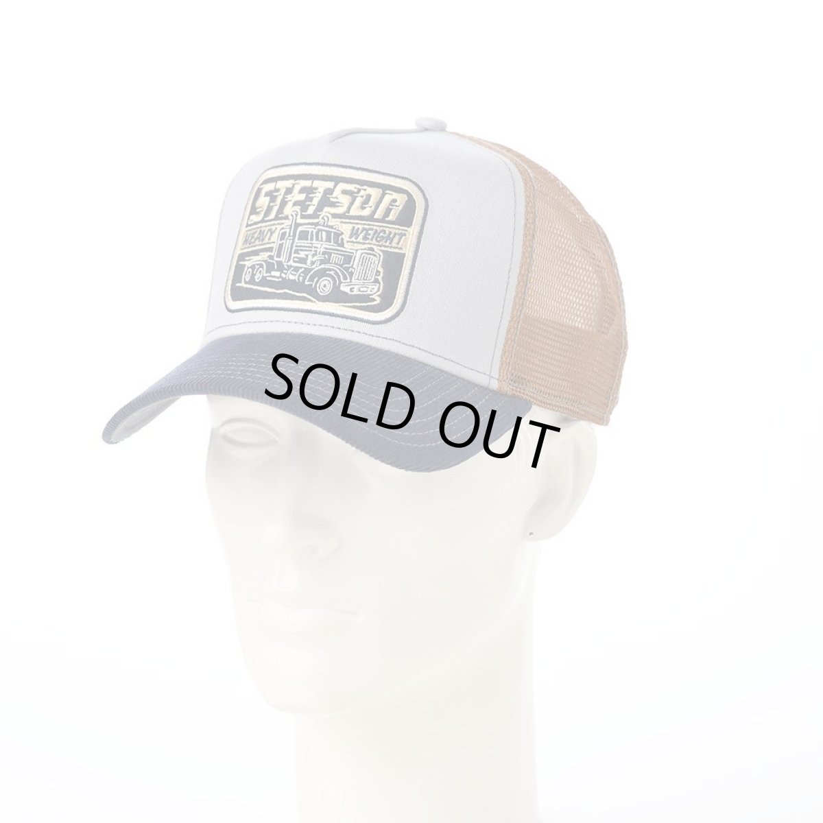 画像5: TRUCKER CAP HEAVY DUTY（トラッカーキャップ ヘビーデューティー） ST268EU ブルー (5)