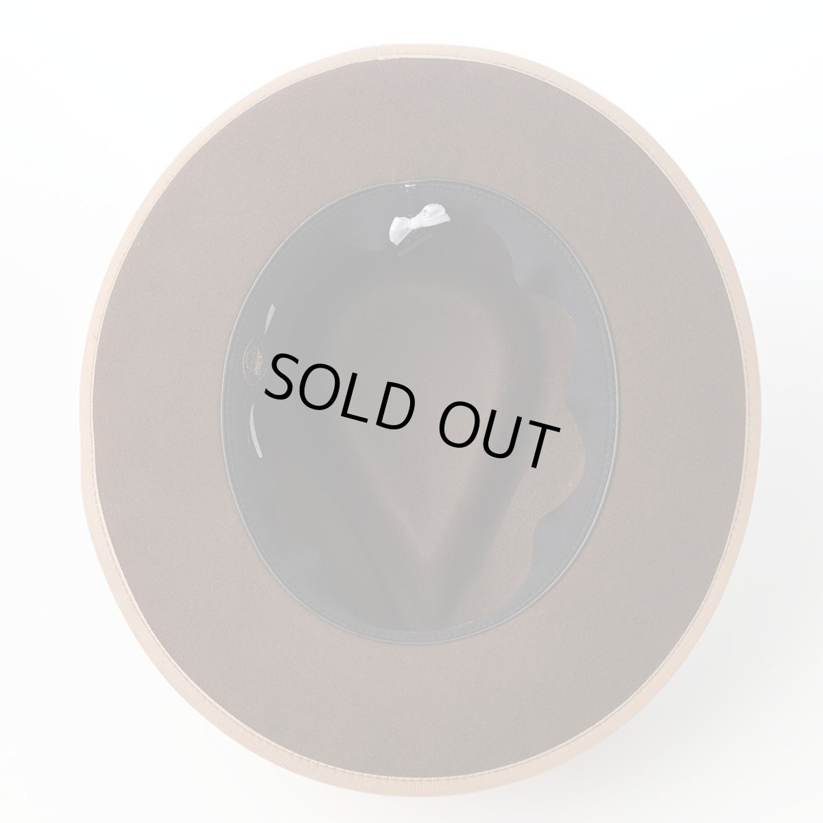 画像5: WHIPPET JP MEDALIST（ウィペット JP メダリスト） ST292US ベージュ (5)