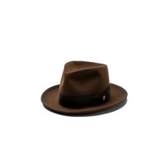 画像1: STETSONIAN 160th US（ステットソニアン 160th US） ST295US キャメル (1)