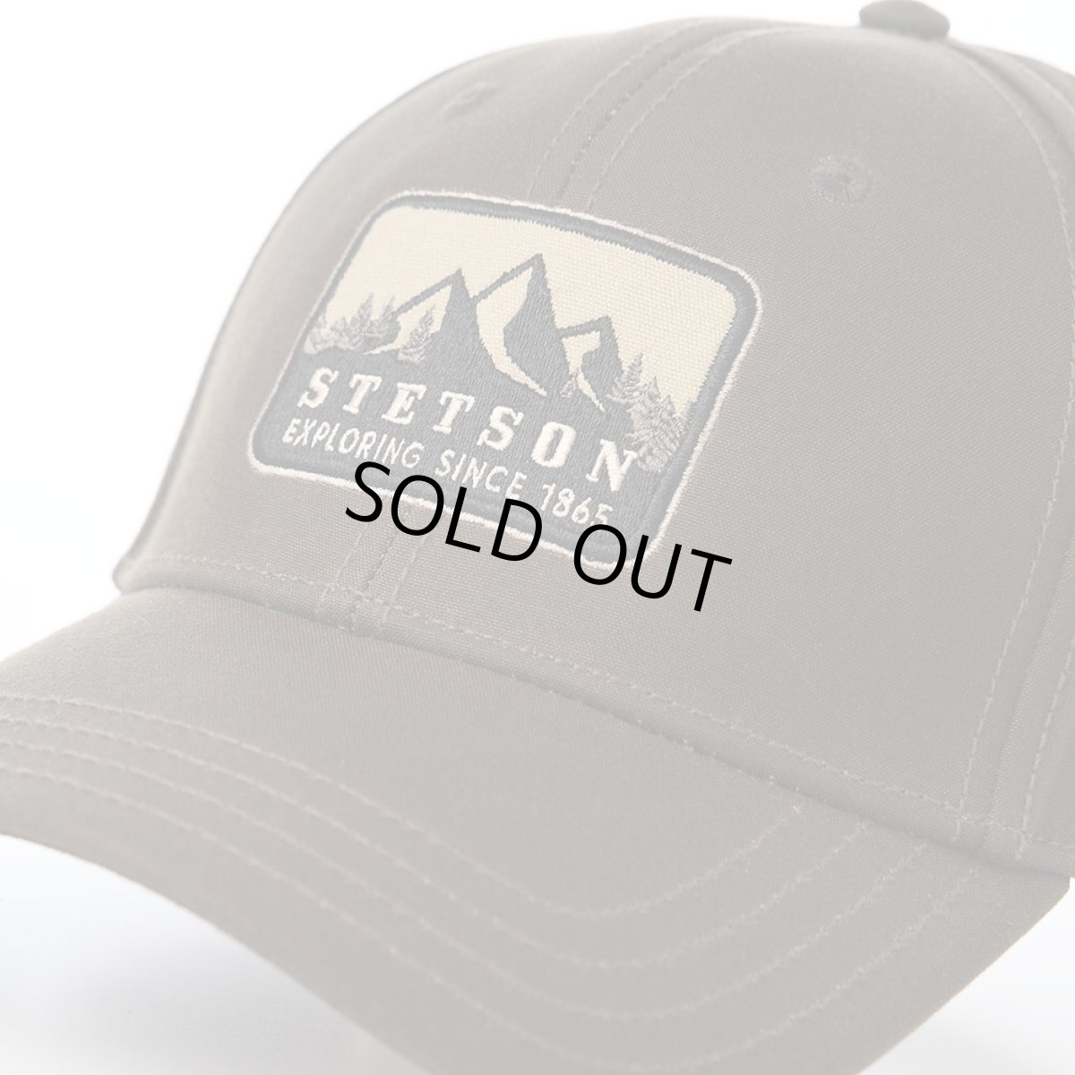 画像3: BASEBALL CAP WAXED COTTON（ベースボールキャップ ワックスドコットン） ST306EU ダークブラウン (3)