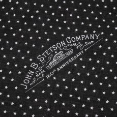 画像3: STETSON 160th BANDANA（ステットソン 160thバンダナ） SE893 (3)
