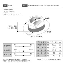 画像8: FLAT PANAMA G5（フラット パナマ G5） SE785 ブラック (8)