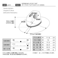 画像9: OPENROAD JP FELT HAT（オープンロード JP フェルトハット） SE826 ブラウン (9)
