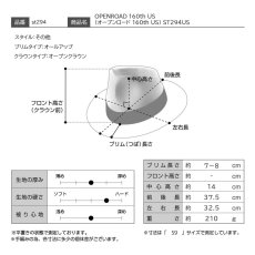 画像9: OPENROAD 160th US（オープンロード 160th US） ST294US ベージュ (9)
